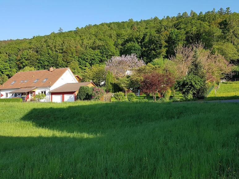 Ferienwohnung Schmidt Werratal Wanfried 外观 照片